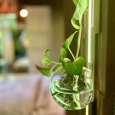 Alpen-apartment Mit Garten, Bergblick, Pool Und E-ladestation * ارزل ام بيتزتال